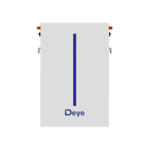 RW-M6.1 Deye (LiFePO4 51,2V 120Ah 6,14kWh)